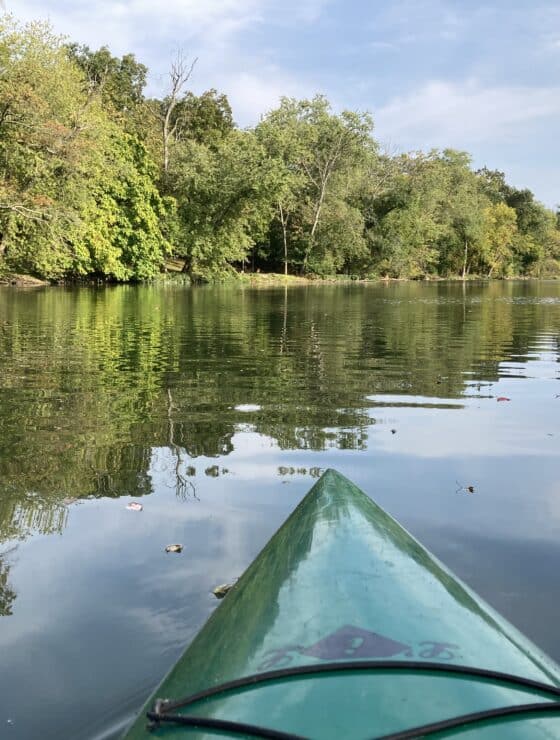 Kayaking on creek too