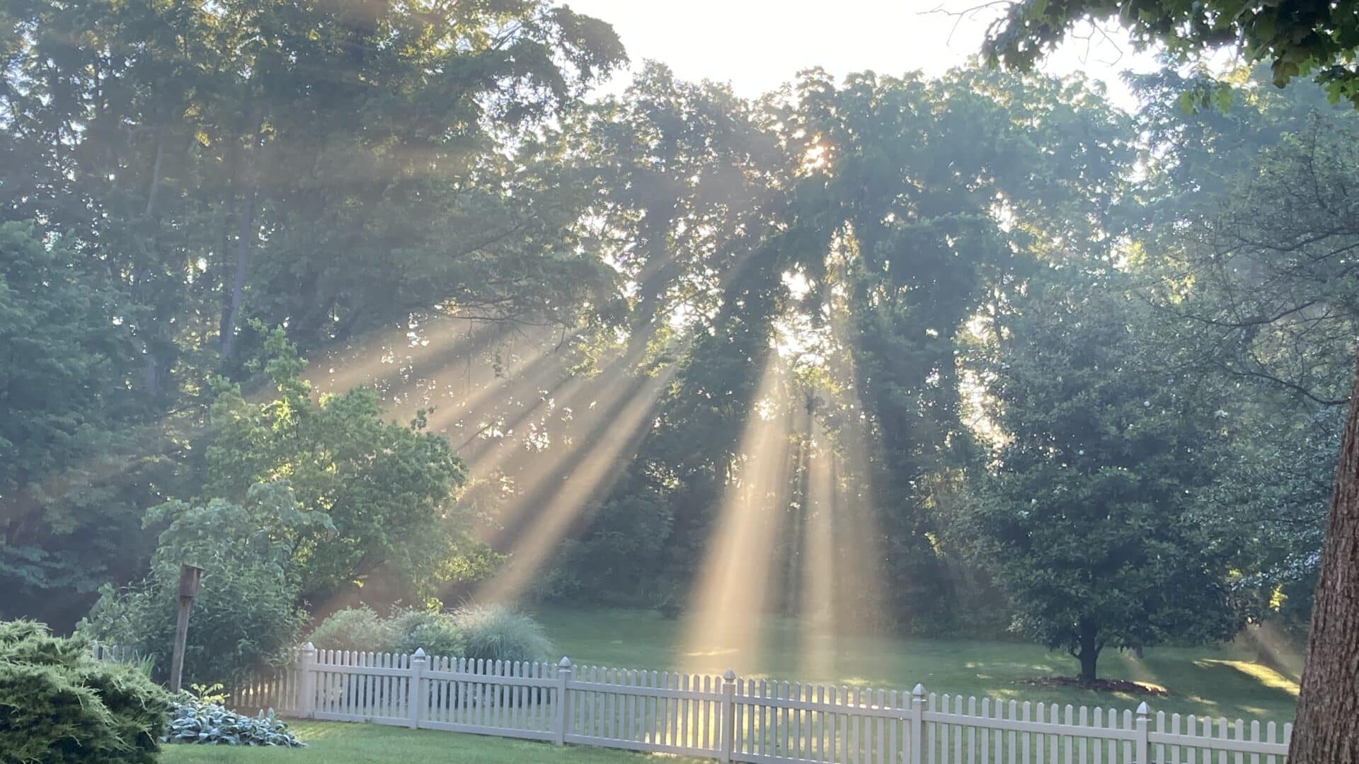 Light shining on our property